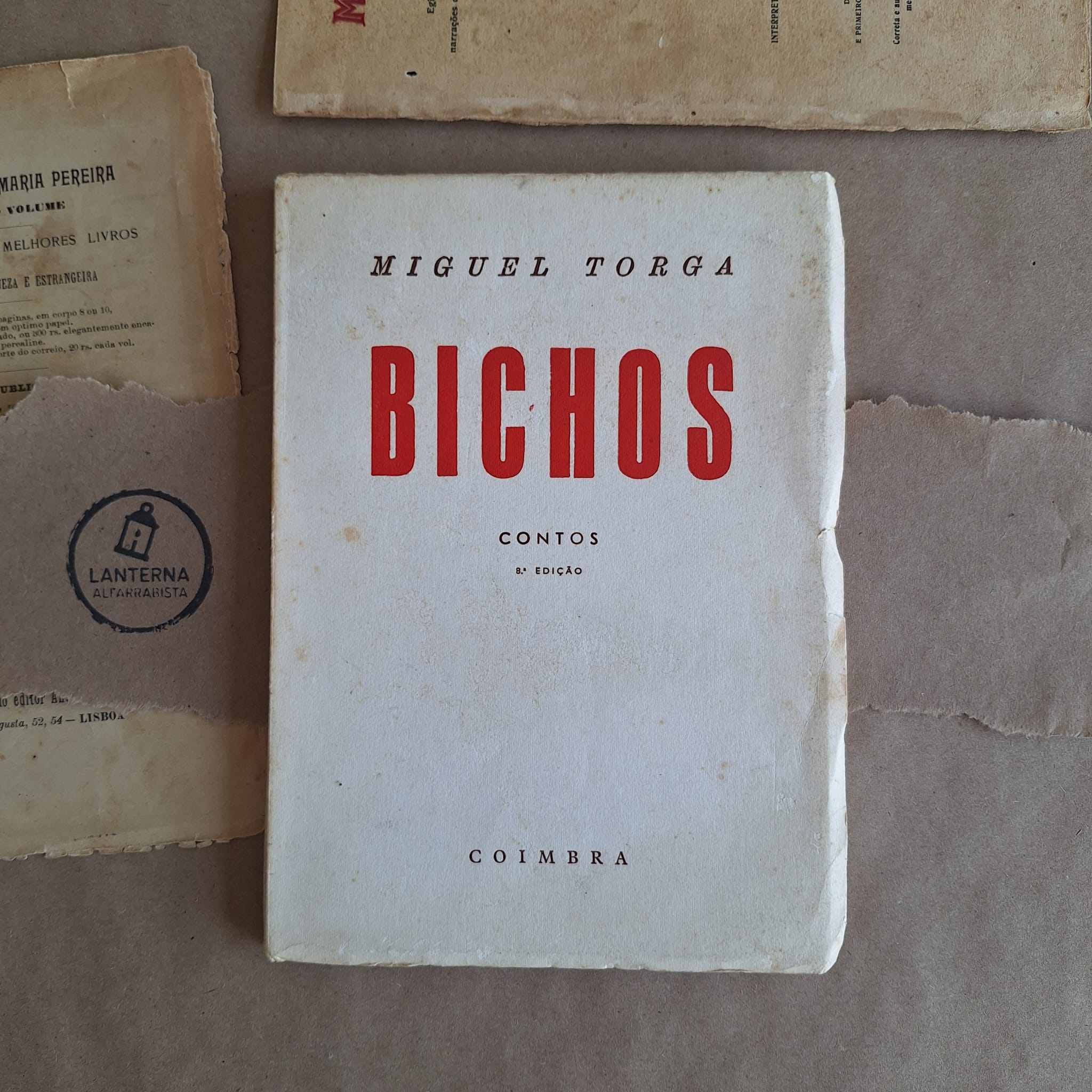 Bichos