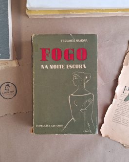 Fogo na noite escura