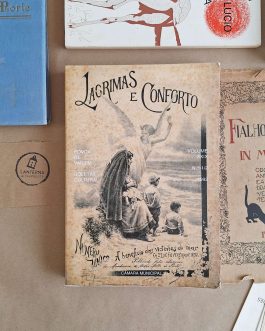 Boletim Cultural Póvoa de Varzim