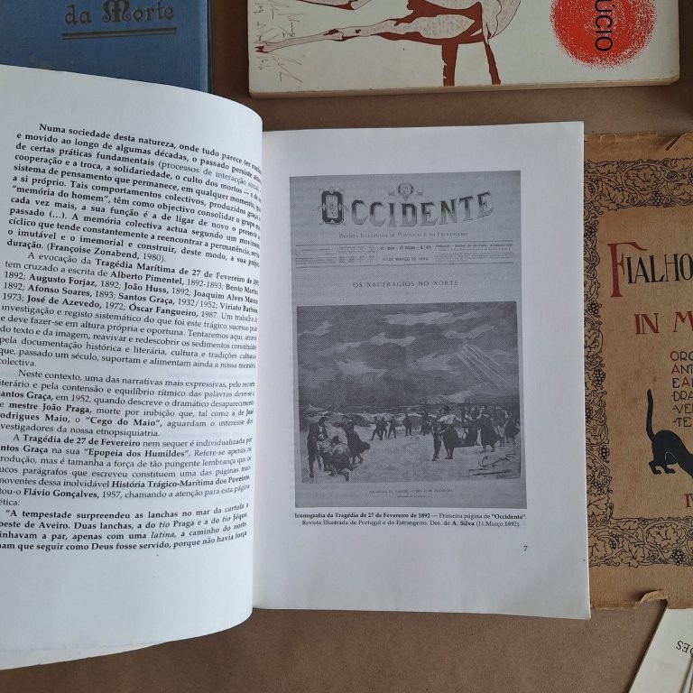 Boletim Cultural Póvoa de Varzim - Lágrimas e Conforto, vol. XIX, nr. 1/2