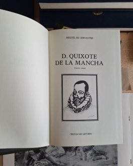 D. Quixote de La Mancha