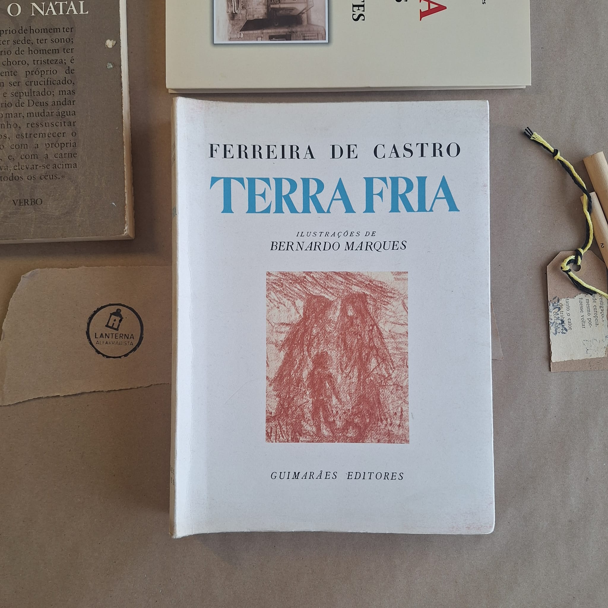 Terra Fria