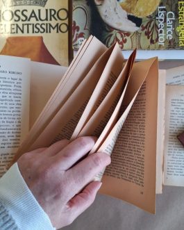 A literatura de José Régio