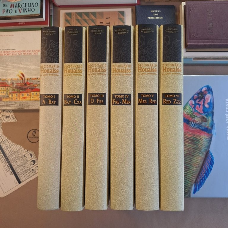 Dicionário Houaiss da Língua Portuguesa - 6 volumes