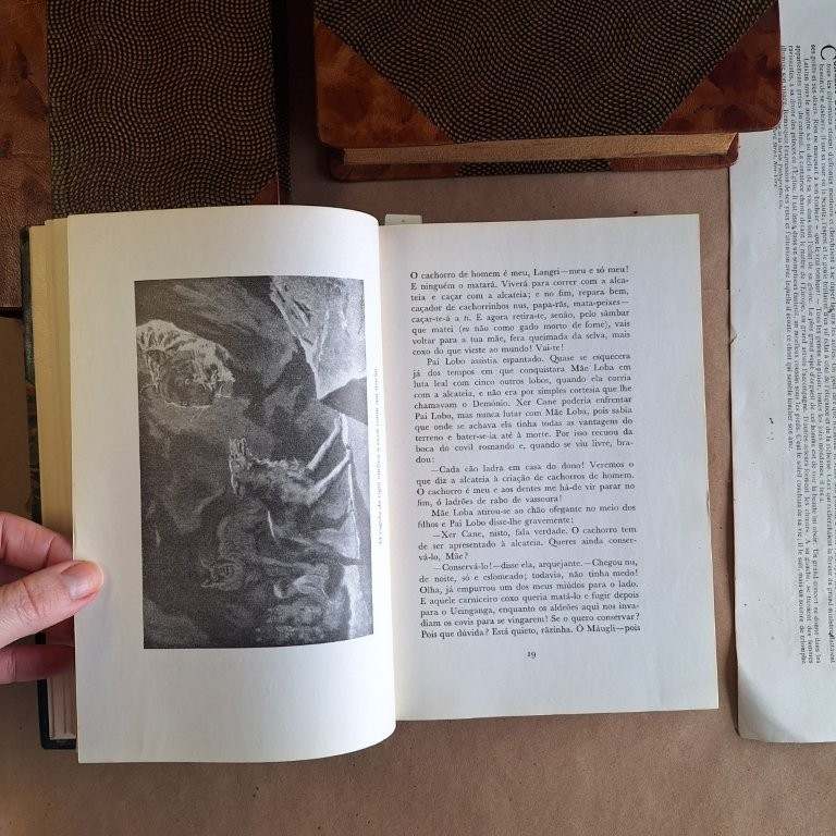 O Livro da Selva | Segundo Livro da Selva