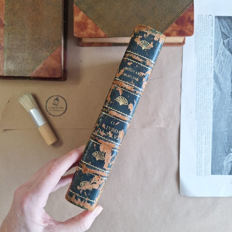 O Livro da Selva | Segundo Livro da Selva