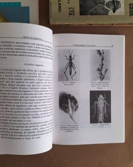 Manual do Algodoeiro