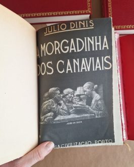 Obra Completas de Júlio Dinis (6/8 títulos)
