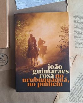 No urubuquaquá, no pinhém