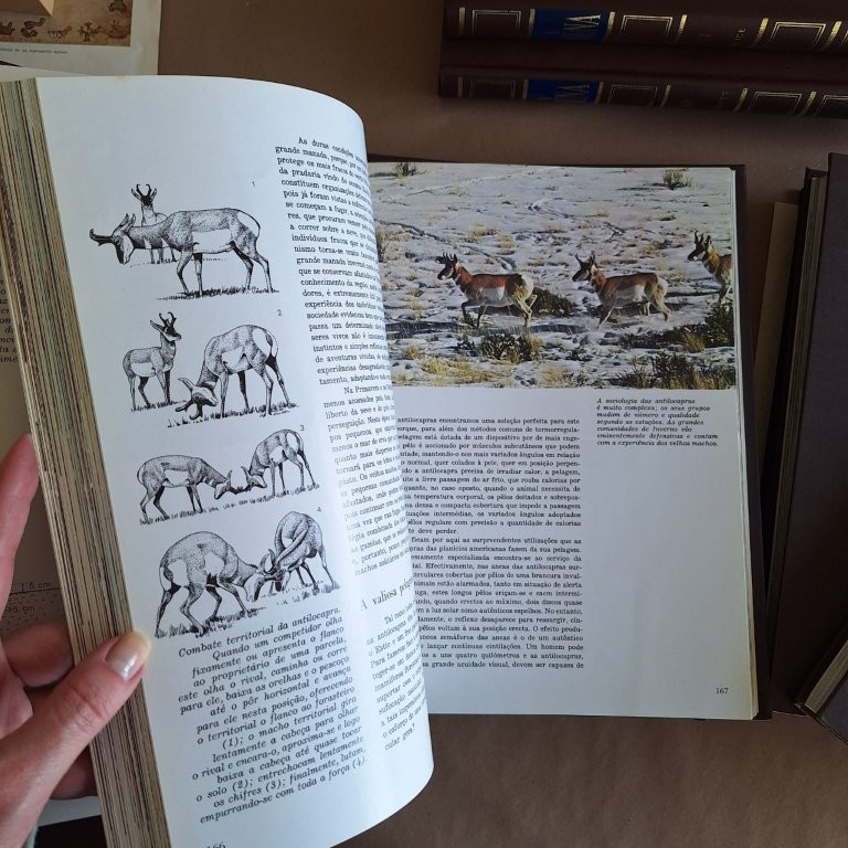 A Fauna -Vida e Costumes dos Animais Selvagens - 11 volumes.
