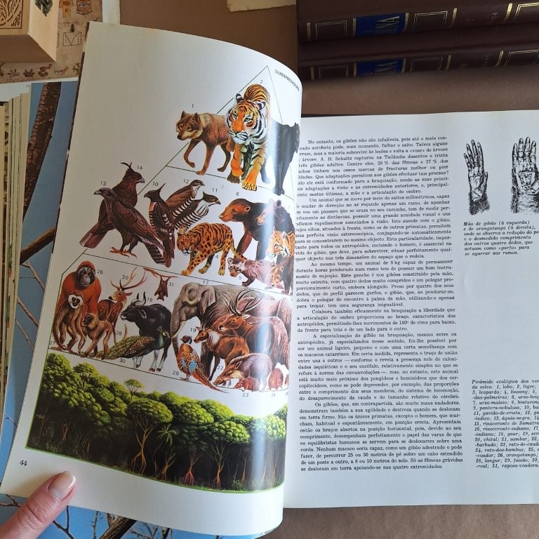 A Fauna -Vida e Costumes dos Animais Selvagens - 11 volumes.