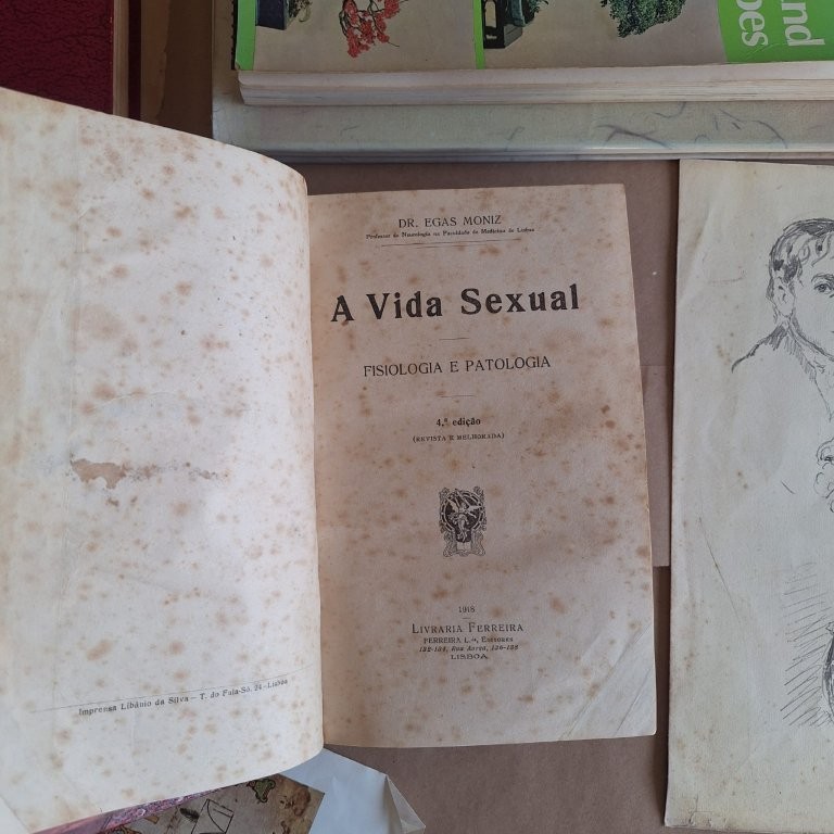 A Vida Sexual