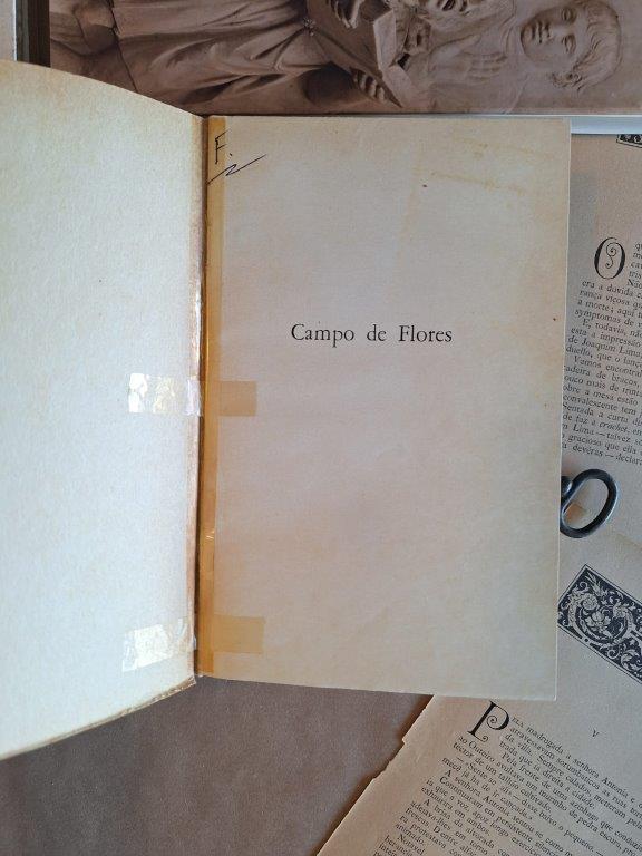 Campo de Flores, vol I e II - poesias líricas completas