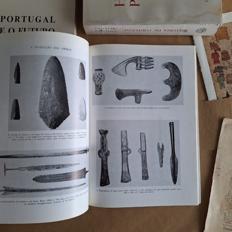 Colecionar Armas Antigas, vol. I