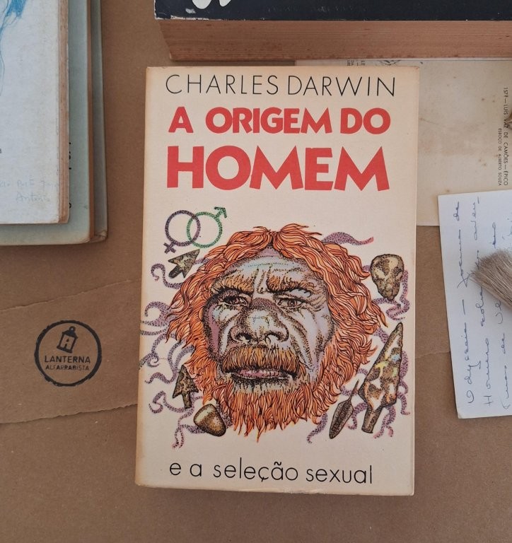A origem do Homem e a relação sexual