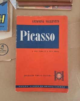 Picasso – a sua vida e a sua obra