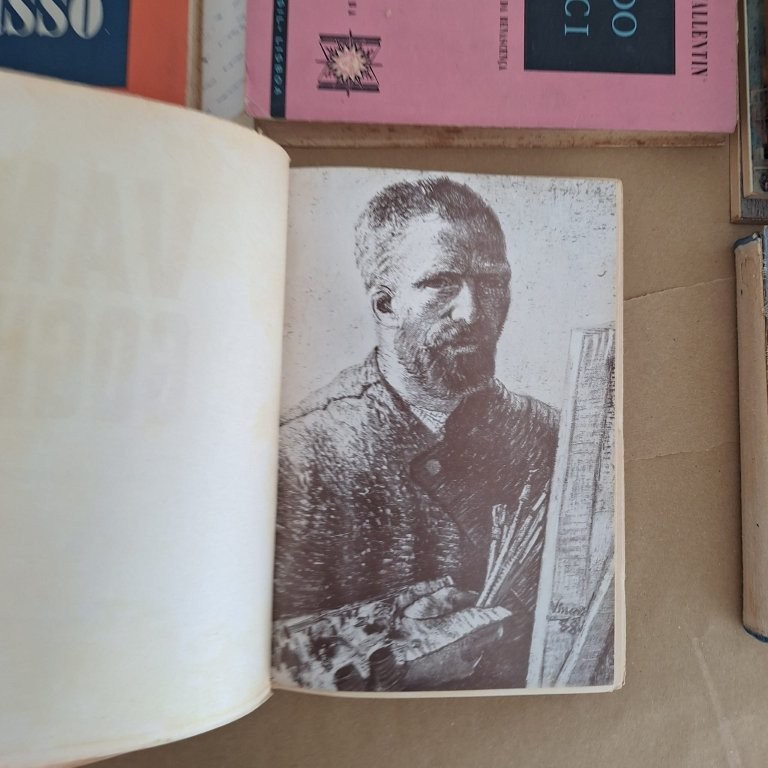 A vida de Van Gogh