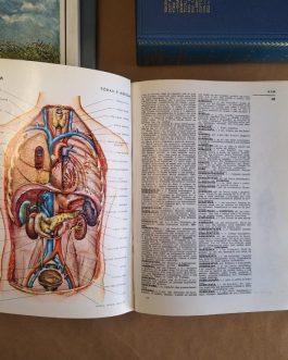 Dicionário Prático Ilustrado