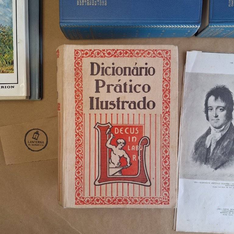 Dicionário Prático Ilustrado