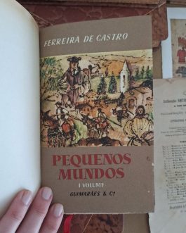 Pequenos Mundos
