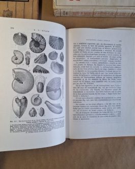 Geología para todos