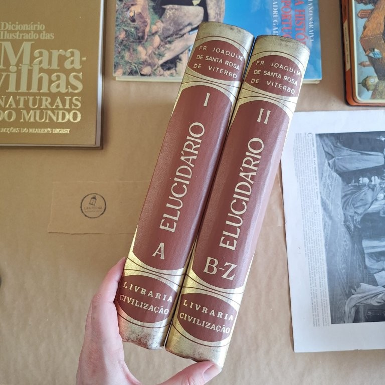 Elucidário das palavras, termos e frases, Vol. I A e Vol. II B-Z