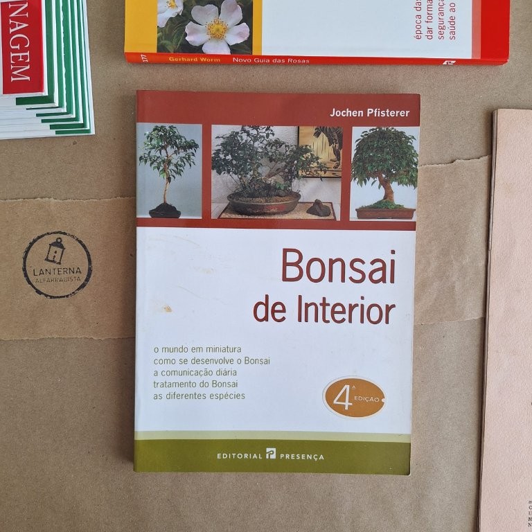 Bonsai de Interior