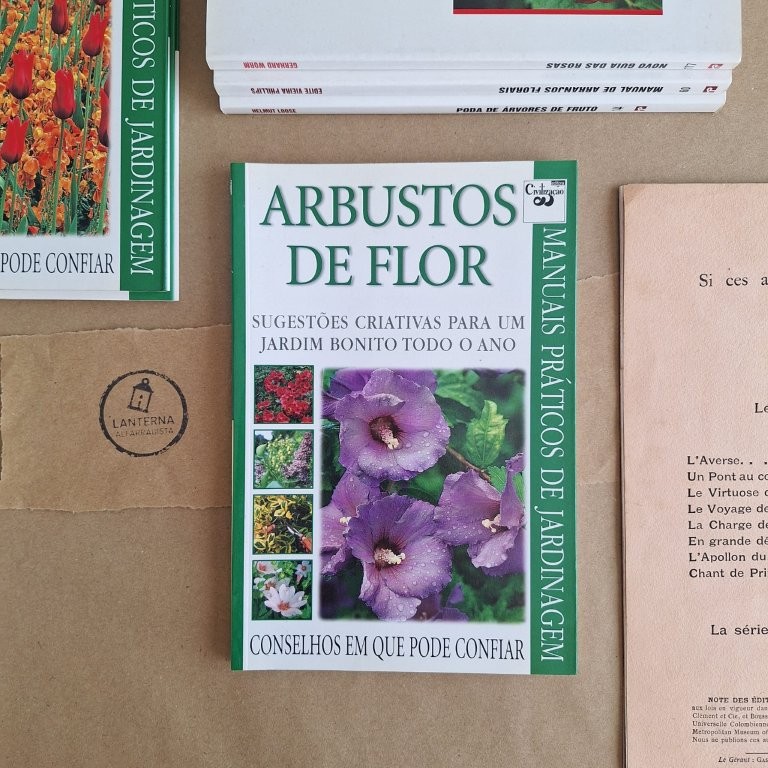 Arbustos de Flor