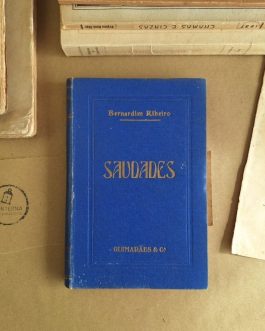 Saudades (História de Menina e Moça)