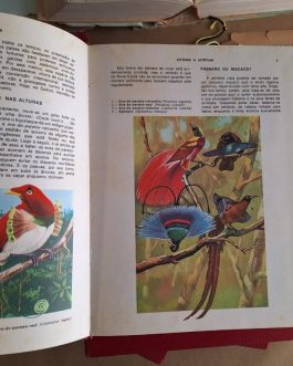 O Maravilhoso Mundo dos Animais, 5 volumes