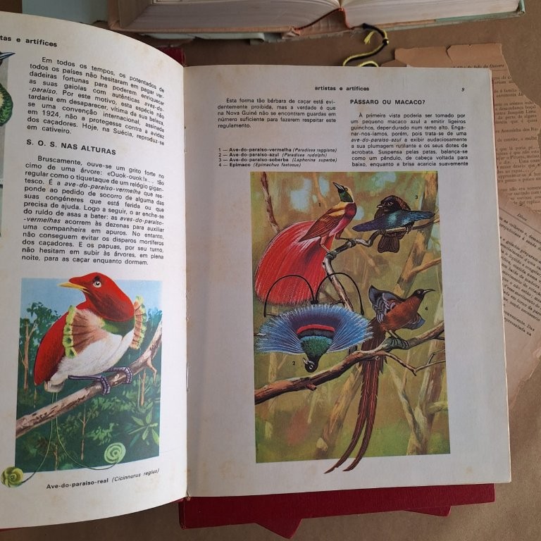 O Maravilhoso Mundo dos Animais, 5 volumes