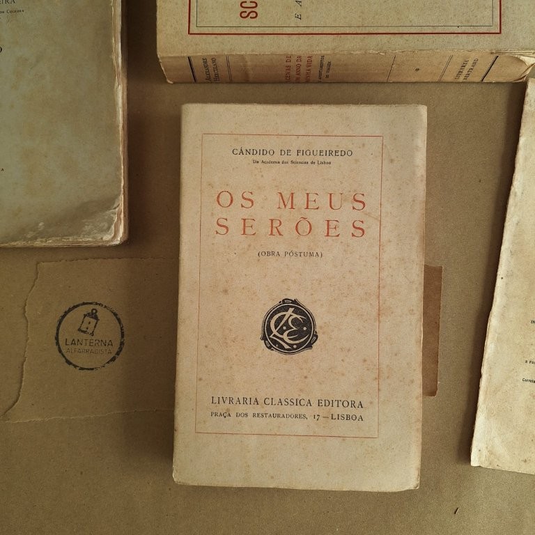 Os meus Serões (obra póstuma)