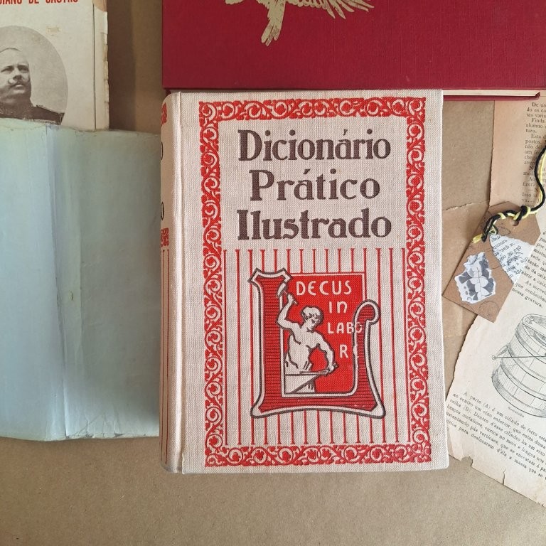 Dicionário Prático Ilustrado