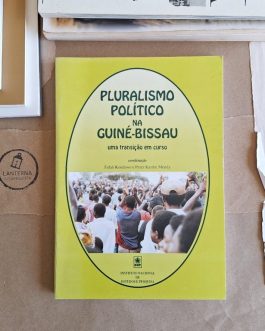 Pluralismo Político na Guiné-Bissau, Uma transição em curso