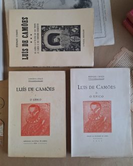 Estudo sobre a obra camoniana.