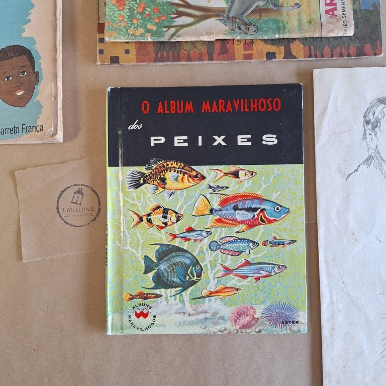 O album maravilhoso dos peixes