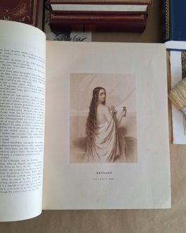Favoritas e Favoritos Célebres