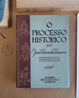 O Processo Histórico