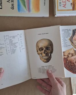 Atlas de Anatomia Humana