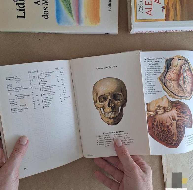 Atlas de Anatomia Humana