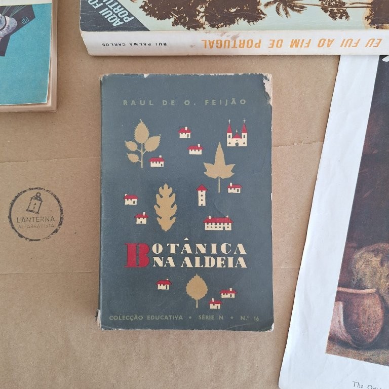 Botânica na Aldeia