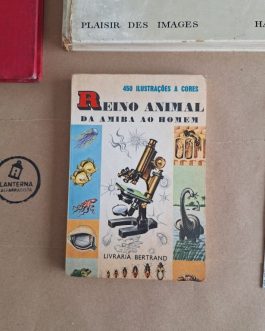 Reino Animal da amiba ao homem