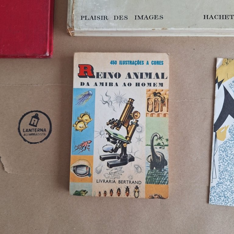 Reino Animal da amiba ao homem