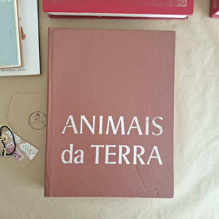 Animais da Terra - dos polos ao Equador